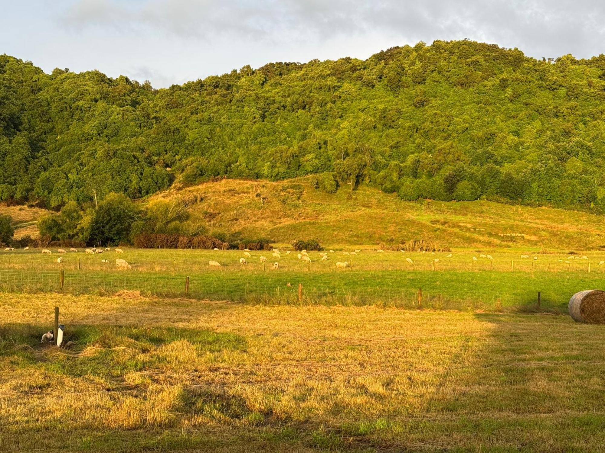 Landhaus Bellbird Hideaway *