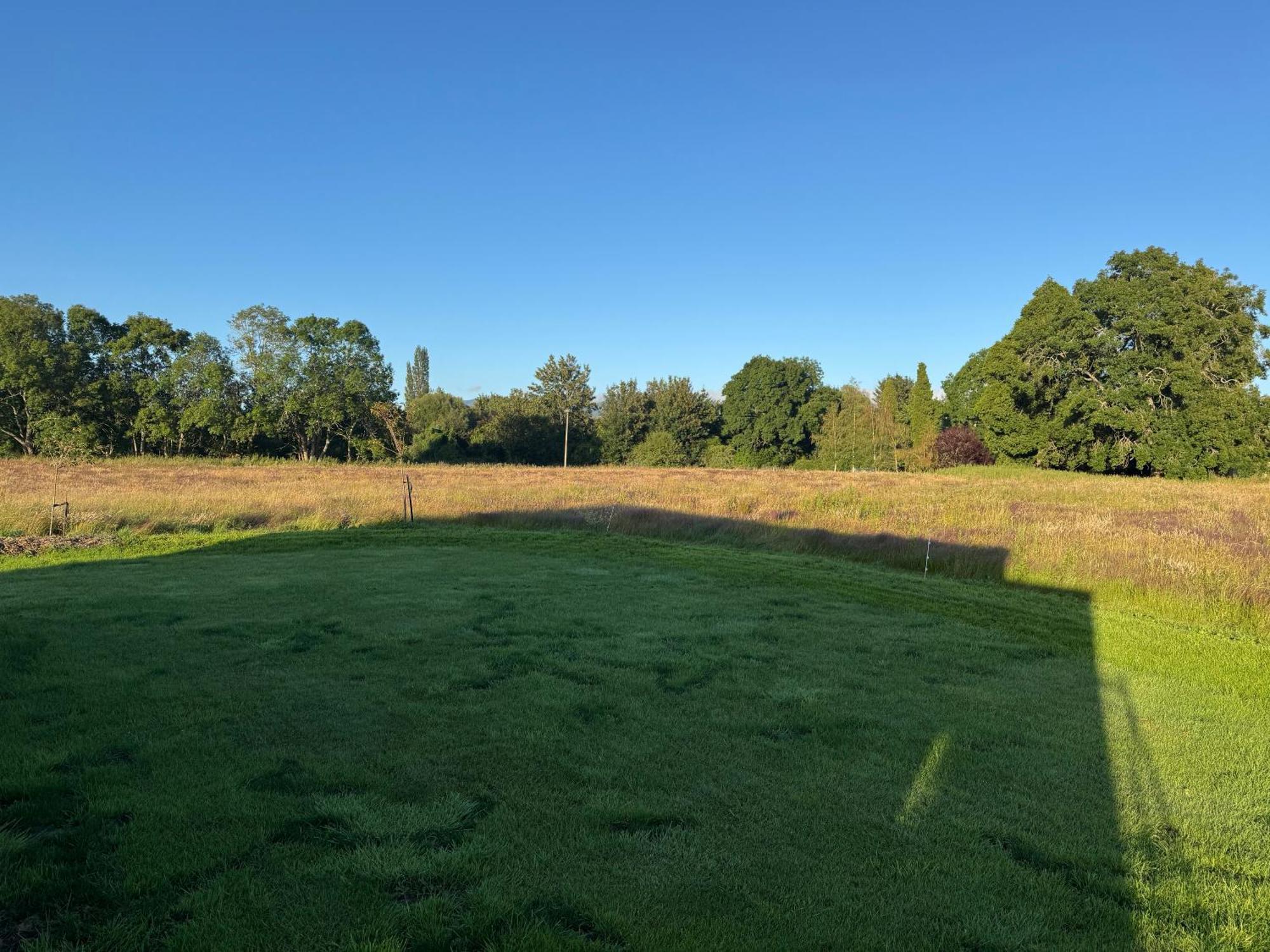 Bellbird Hideaway Country house Pleasant Valley