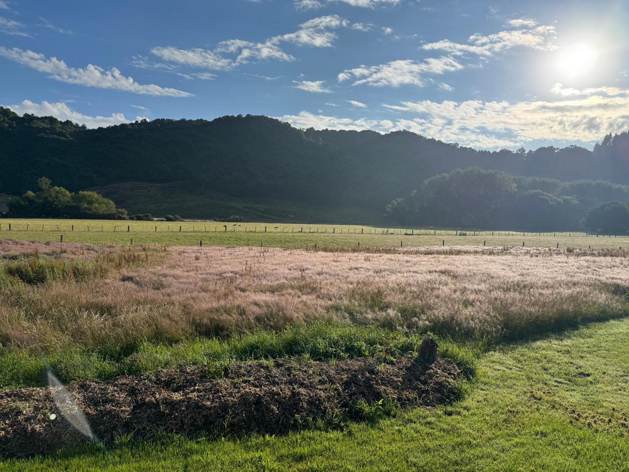 Country house Bellbird Hideaway