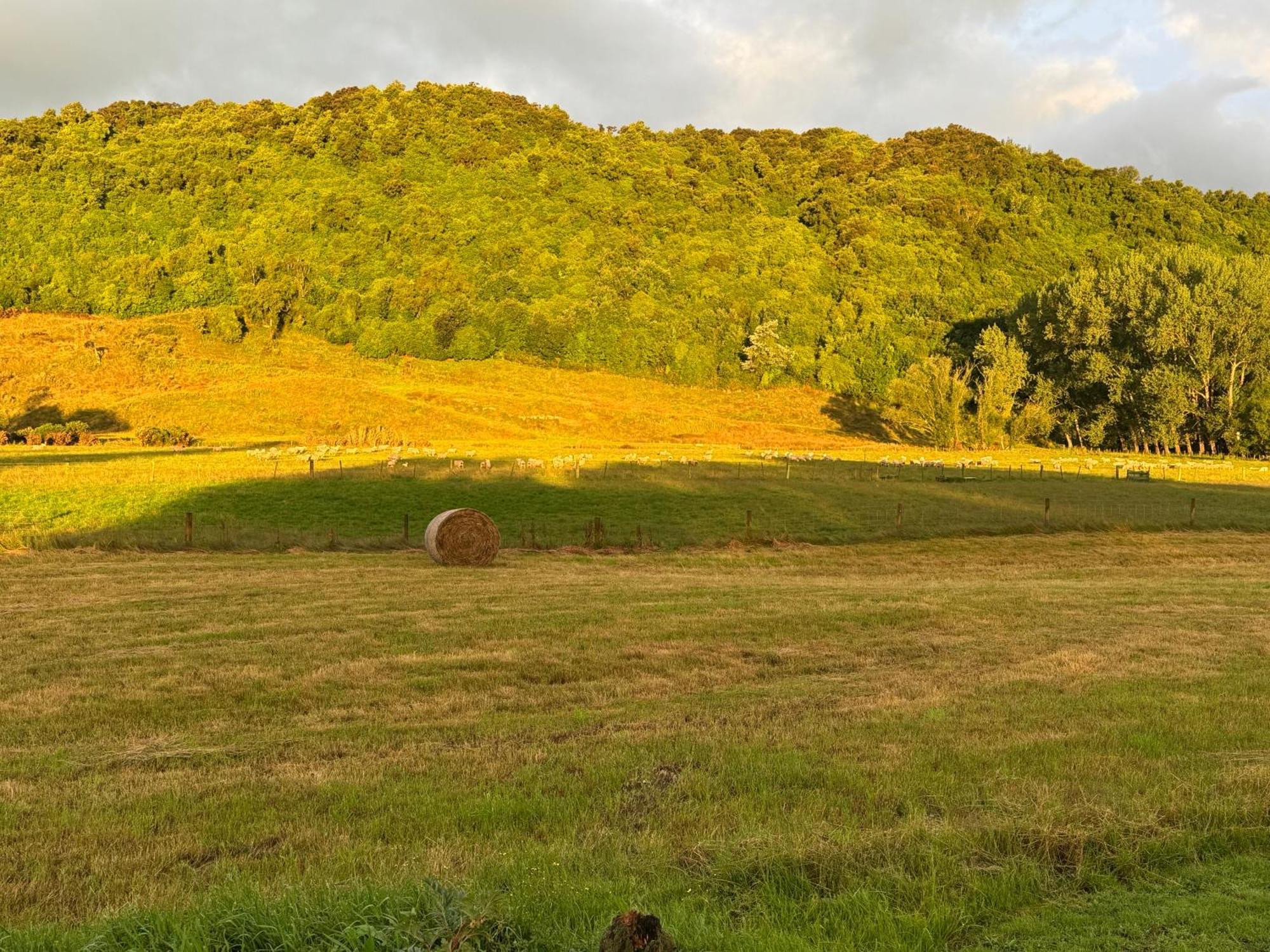 Bellbird Hideaway Country house